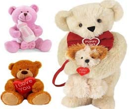 2013 valentine week 10th feb teddy day