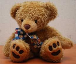 ways to celebrate teddy de