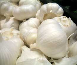 garlic is being sold 50 paise per kilogram 