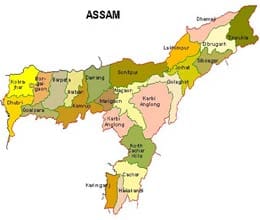 violence in assam panchayat polls 11 killed