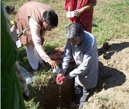 land examination from vastu method 
