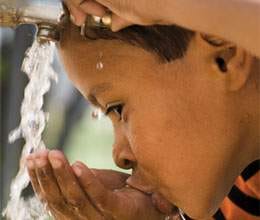 scam busted in save water campaign in haryana