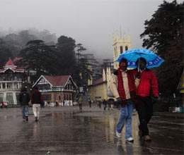snow swamps upper himachal