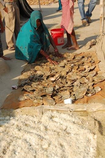 mahakumbh : bundelkhand family feeds on garbage of people