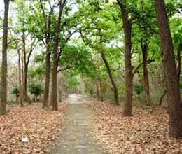 sanctuary at the cost of villages
