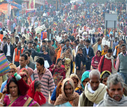 Magi Bath: today and tomorrow, more than 60 special trains