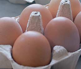 germany investigates possible organic egg fraud