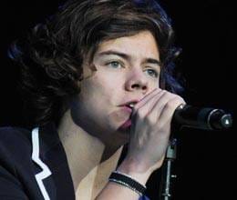 a fan hit to show on harry styles