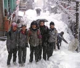 fresh snowfall and rain in himachal pradesh 