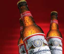 american beer company sued for making light beer 