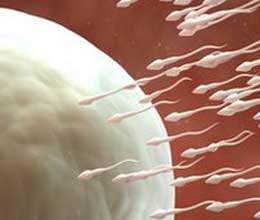 girlfriend's 'steal' the sperm 