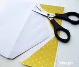 raipur men makes world biggest envelope