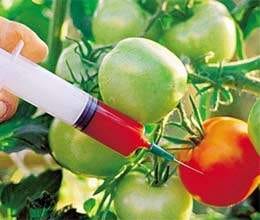 40 per cent crop damage