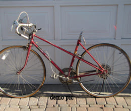 cycling without seat for saving daughters 