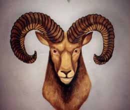 Aries