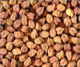 gram revolution