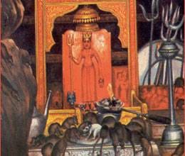 karni mata mouse mandir of rajasthan 