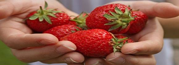 health benefits of strawberry