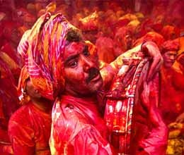 laddu holi in barsana 
