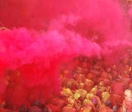 everyone enjoyed colourful holi