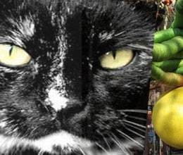 is advantageous to be superstitious