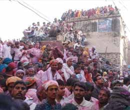 everyone immersed in colours on holi