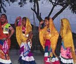 holi and gulal system in chatissgarh tribals