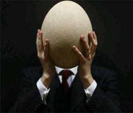 world largest egg will be auctioned