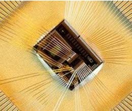 obesity chip
