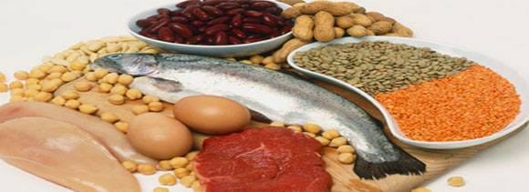 protein rich diet can help you in loosing weight