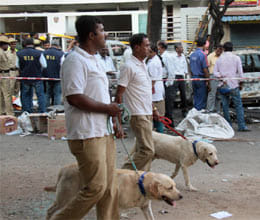 sushil kumar shinde orders probe into bangalore blast