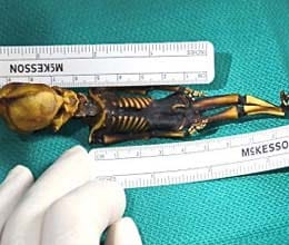 sirius documentary reveals dna test rResults on ata