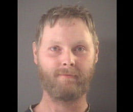 man sentenced to up to 15 years for sex with dogs