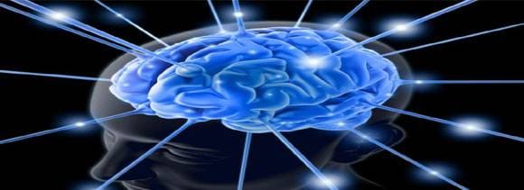 seven ways to raise iq level