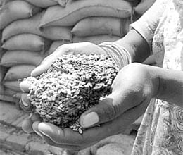 New Enteries to verify before 31st macrh