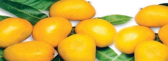 ten surprising health benefits of mangoes