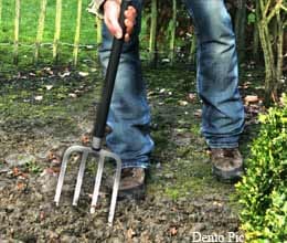man falls to death in temptation of wealth