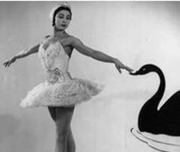 ballerina and panama coup