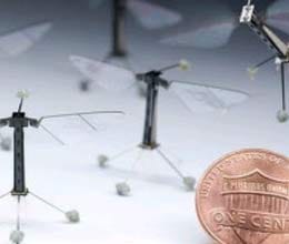 harvard scientists develop tiniest flying robots