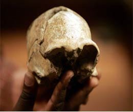 Study  says early humans loved to eat brains