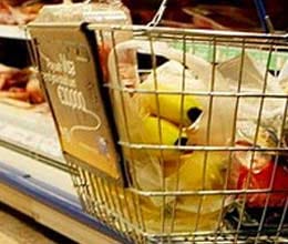 no money to eat in britain