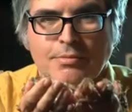 bug man eats 5000 species of insect