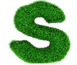 name first letter s person 