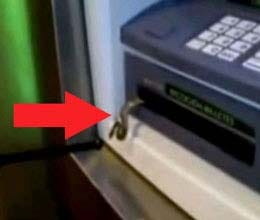 snake inside the atm