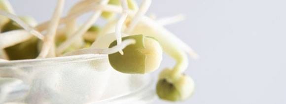 health benefits of sprouts