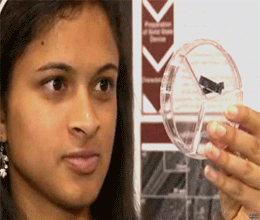 device that can charge phone in 20 seconds