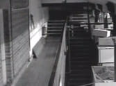 welington market ghost caught on camera