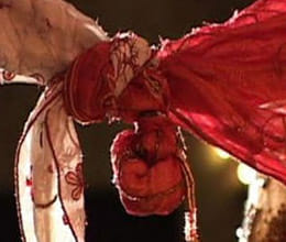 Birth defects risk for married cousins estimated in UK