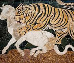 woman fought with tiger 