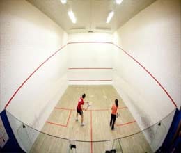 pallikal loses as indian challenge ends in British Open squash